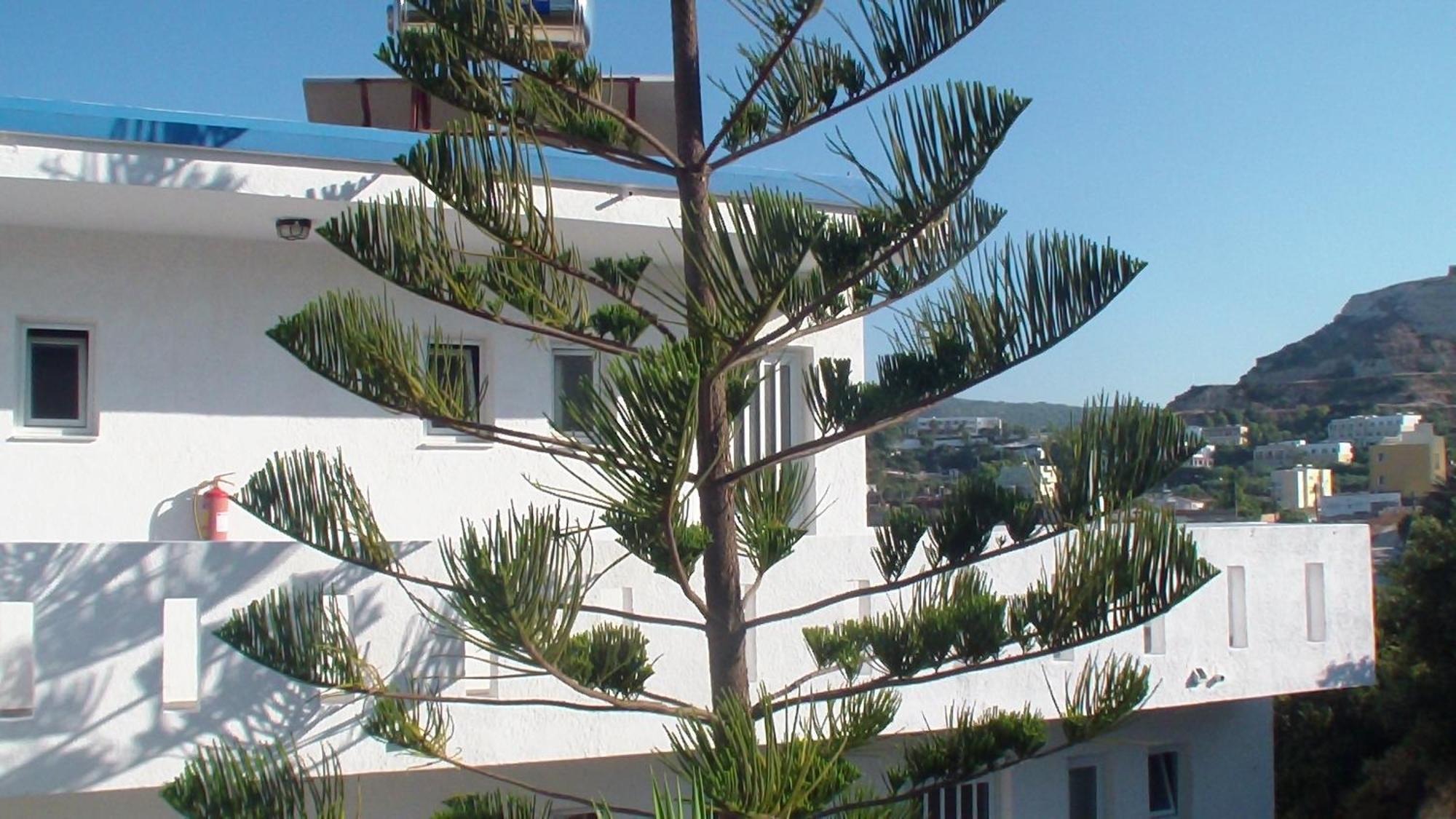 Creta Vassakis Studios Kéfalos Exteriér fotografie