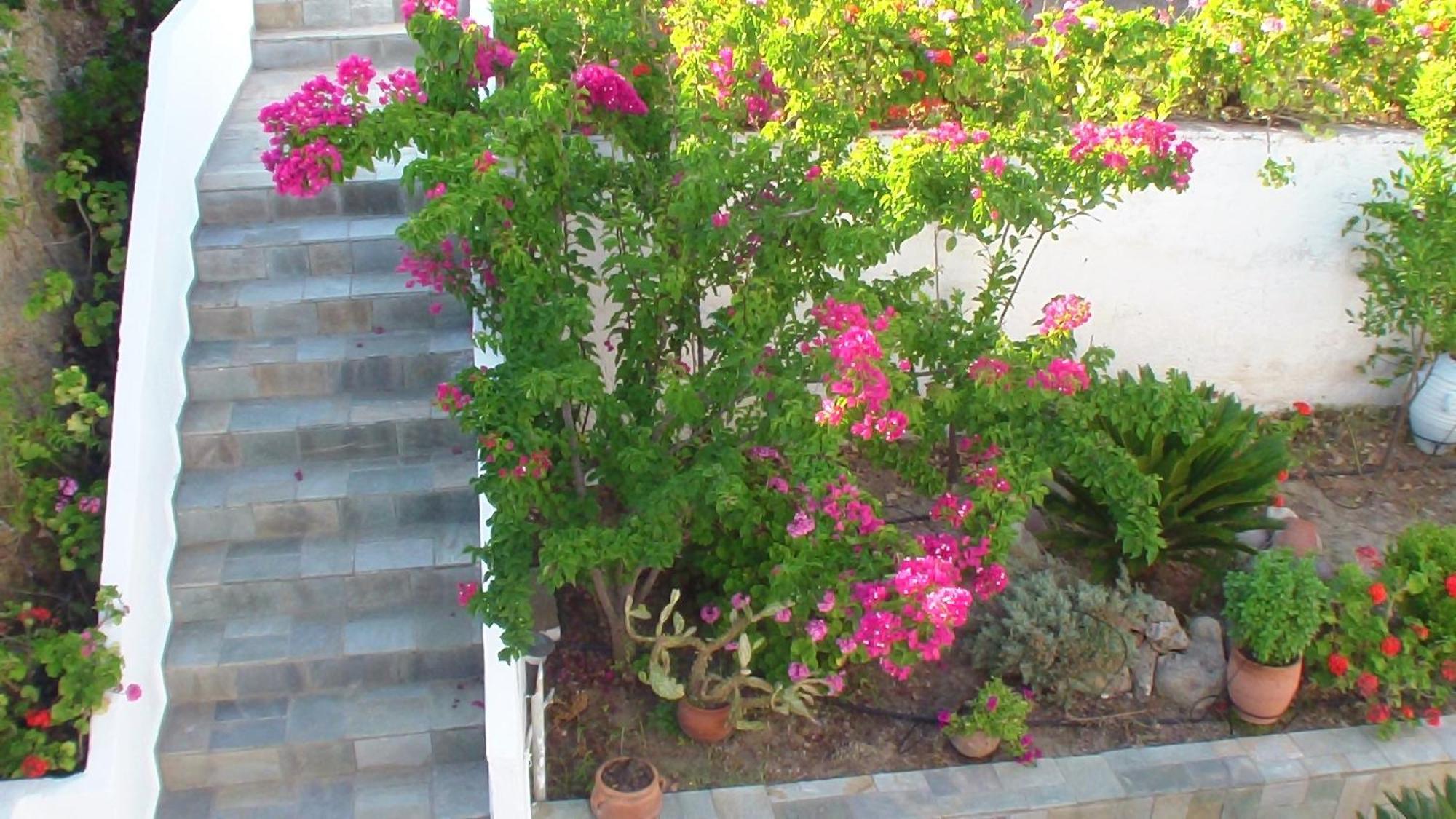 Creta Vassakis Studios Kéfalos Exteriér fotografie
